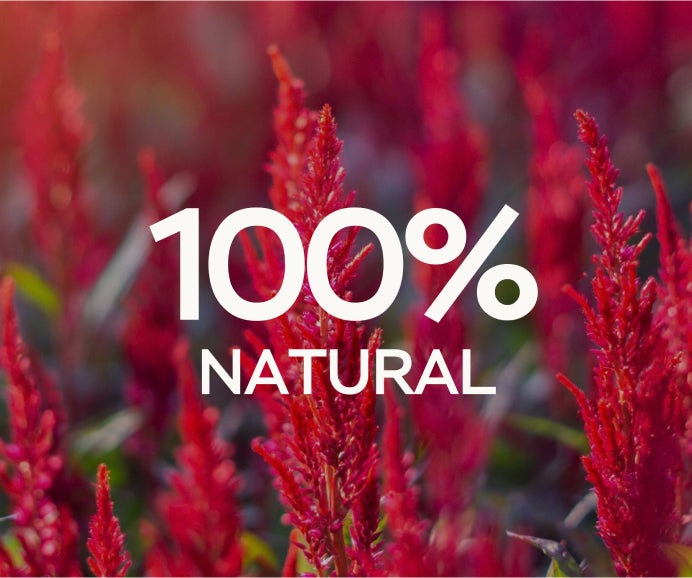 Natural Amaranth Oil